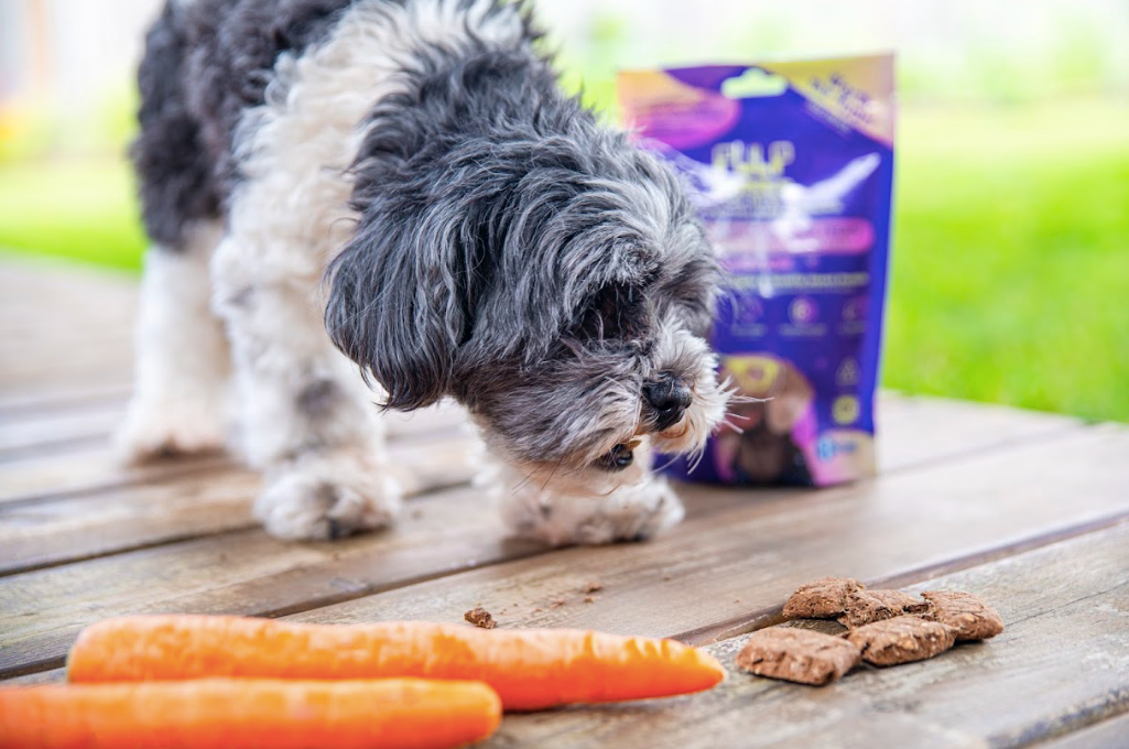 Pulp Habits Dog Treats - Digestion Eco-Bites