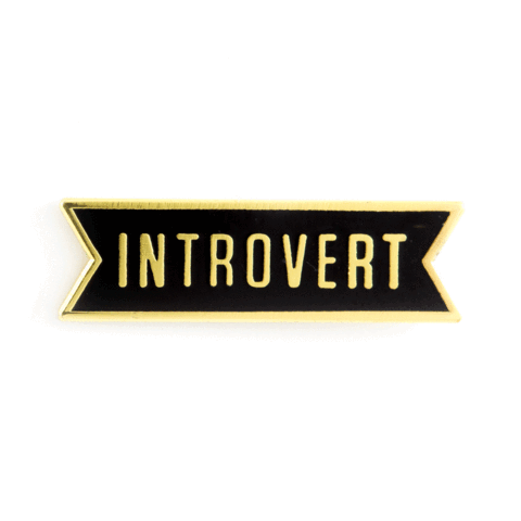 Introvert Enamel Pin