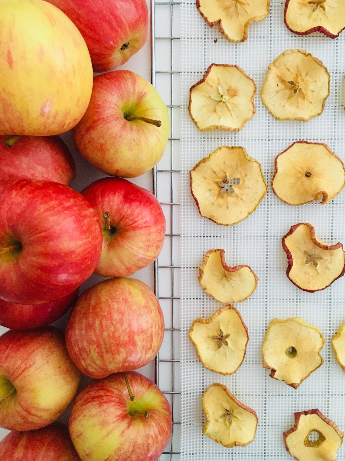 Organic Dried Apple Slices