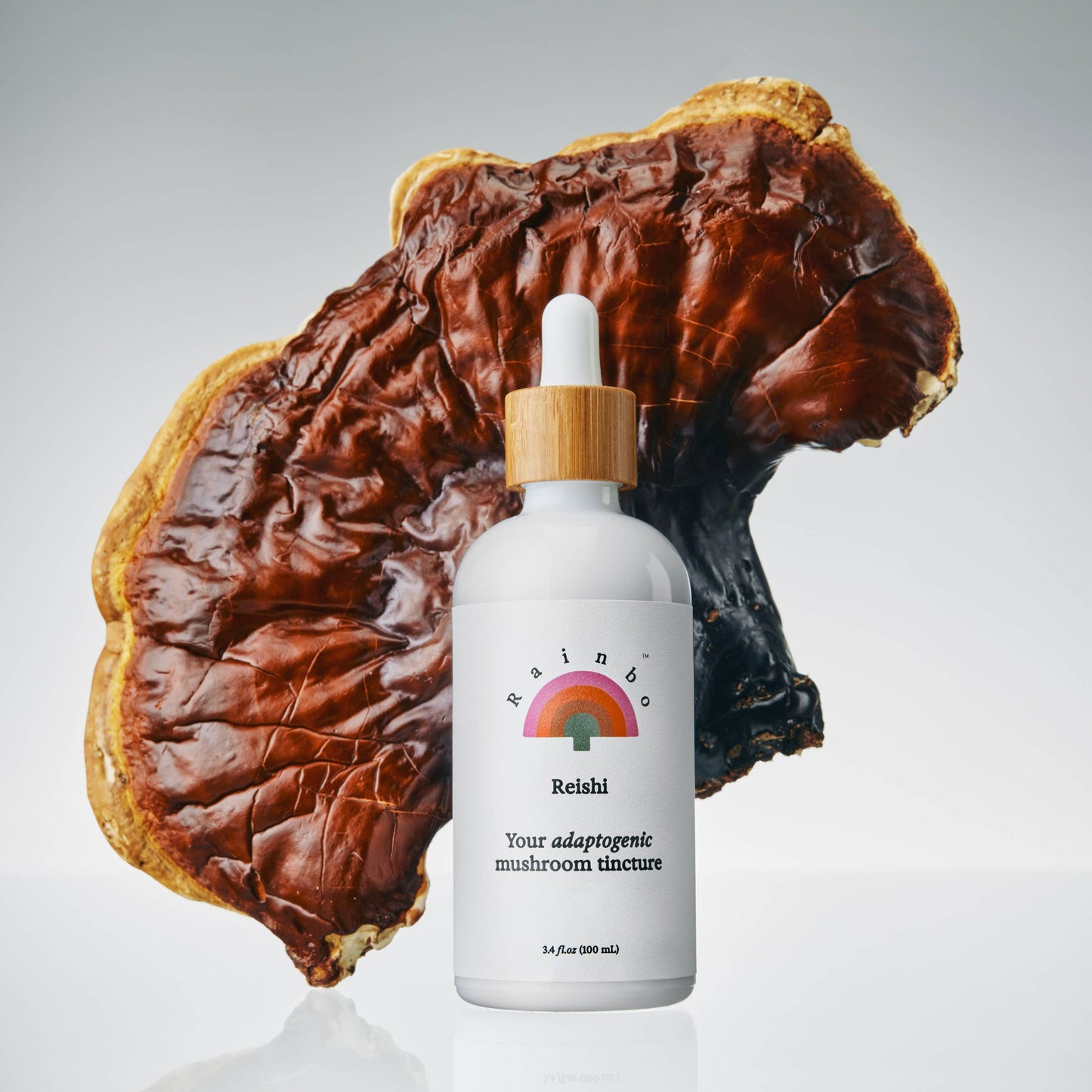 Rainbo: Reishi Dual Extract Tincture