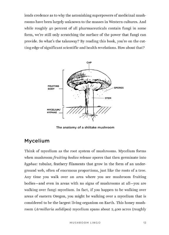 Healing Mushrooms: Using Mushrooms for Whole Body Health