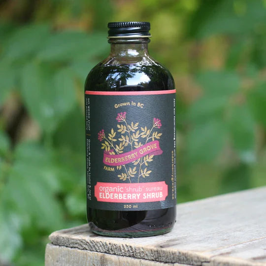 Elderberry Grove: Elderberry Shrub