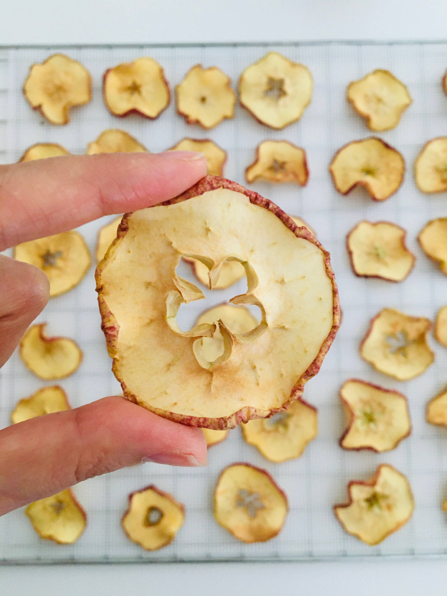 Organic Dried Apple Slices